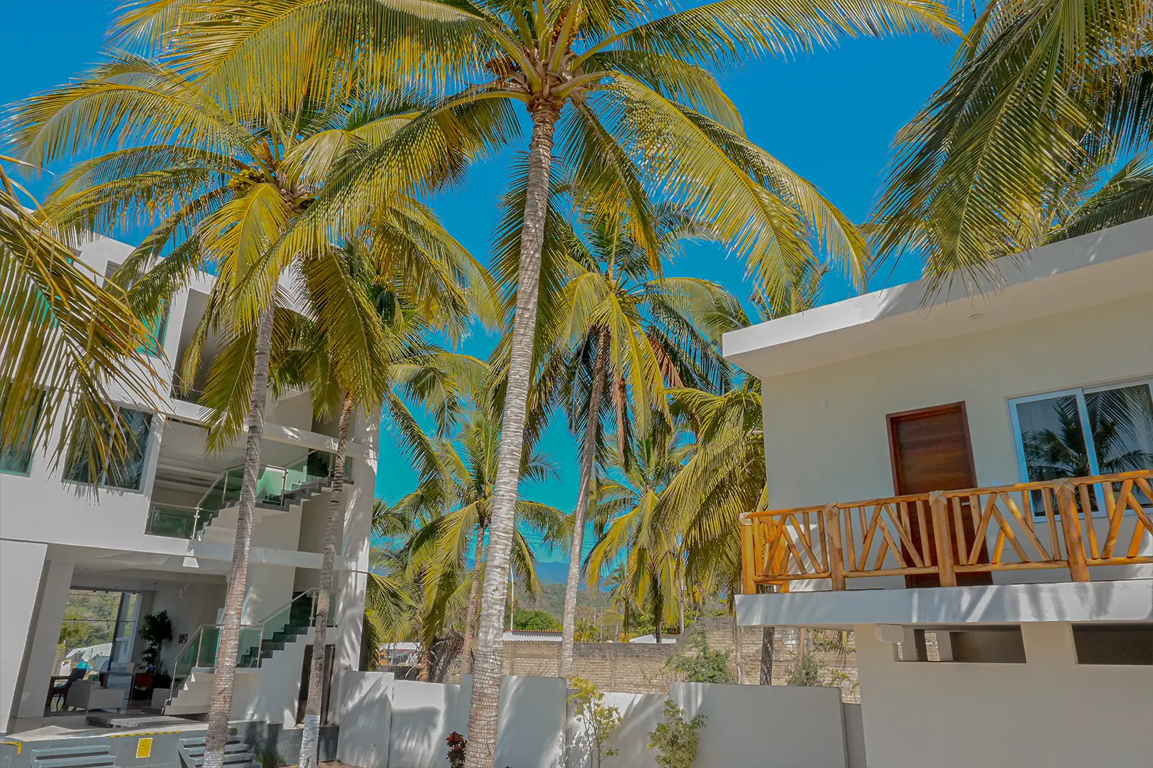 Fachada de hotel moderno entre palmeras tropicales, con cielo despejado y arquitectura contemporánea.